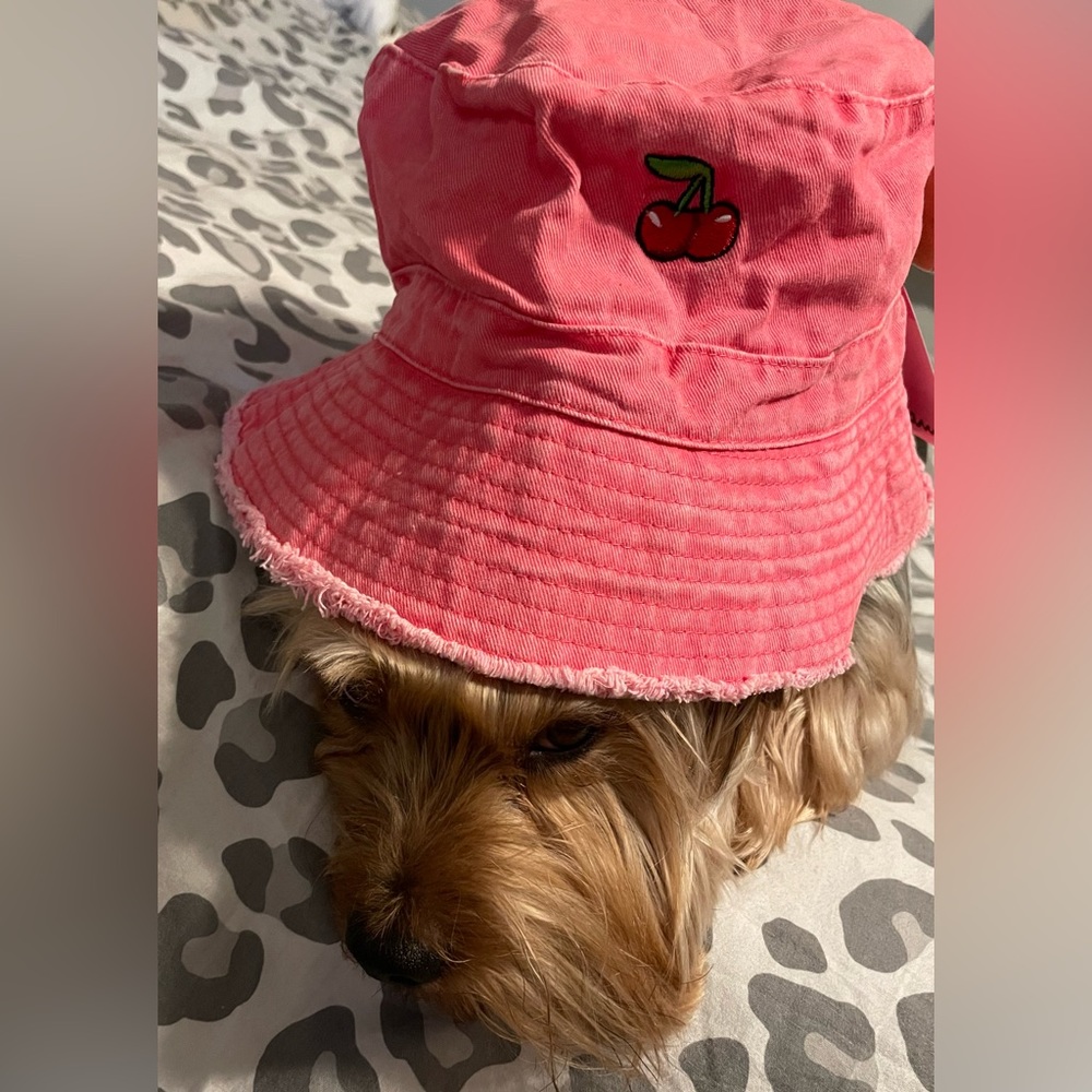 Nfs Cherry Hat - image 2